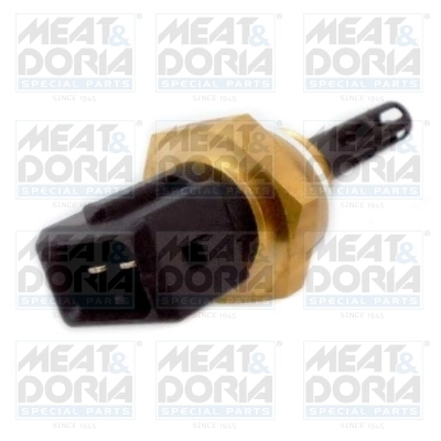 Sensor, intake air temperature